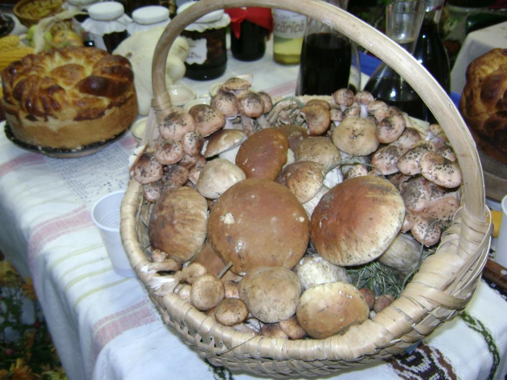 Casa Bunicii Din Bucovina Villa Vama  Kamer foto